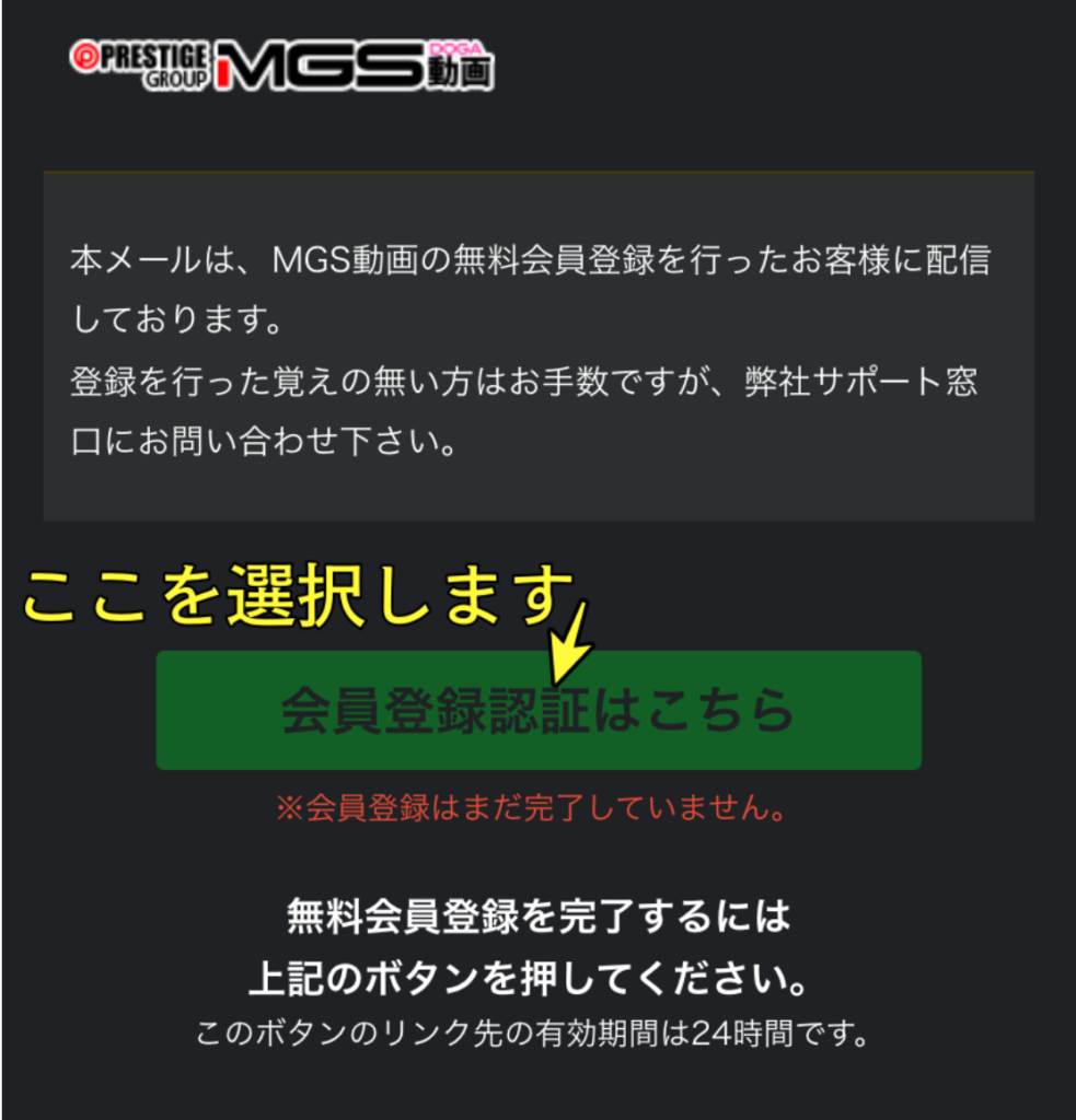 MGS確認画面4